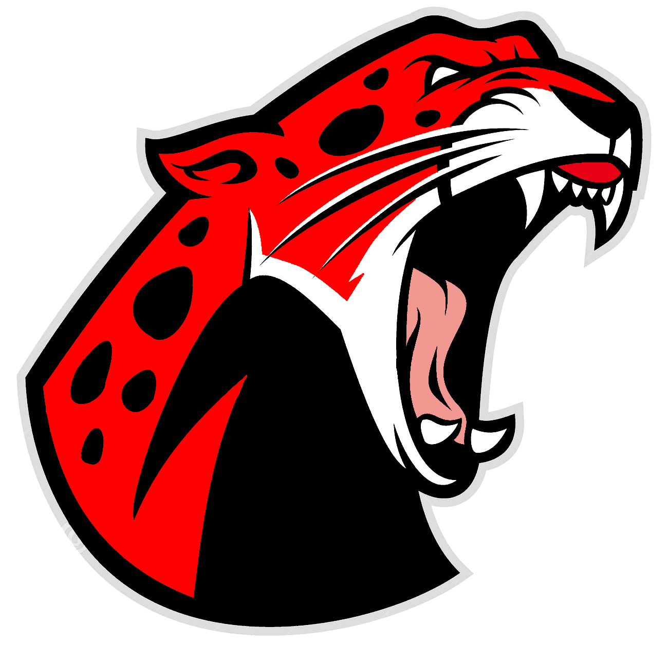 Red Panther Mascot